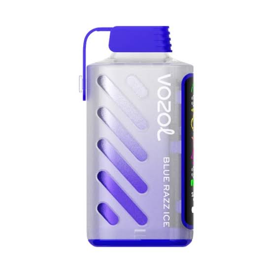 VOZOL Gear Power 5000