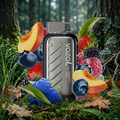 VOZOL Gear Power 5000