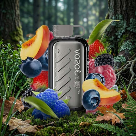 VOZOL Gear Power 5000